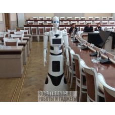 Андроидный робот Фобот-150 (Fobot-150)