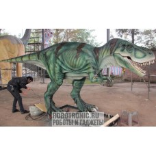 Тираннозавр Рекс среднего возраста