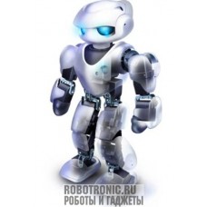 Точная копия робота в человеческий рост