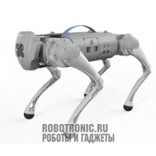 Аренда роботов: собака робот Go1 Pro