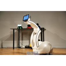 Робот Swan